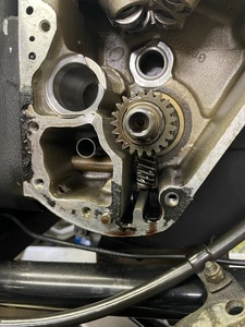IMG_6951.jpg